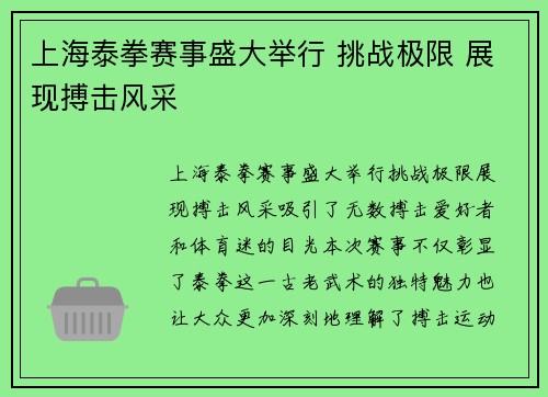 上海泰拳赛事盛大举行 挑战极限 展现搏击风采